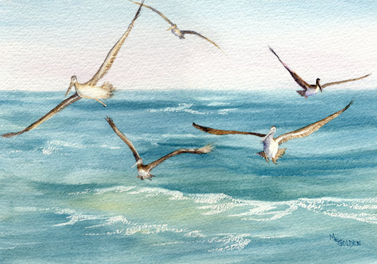 5 Pelicans Following the Ferry Wake Giclée Print