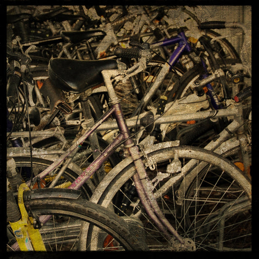 Tubingen Bikes Photograph