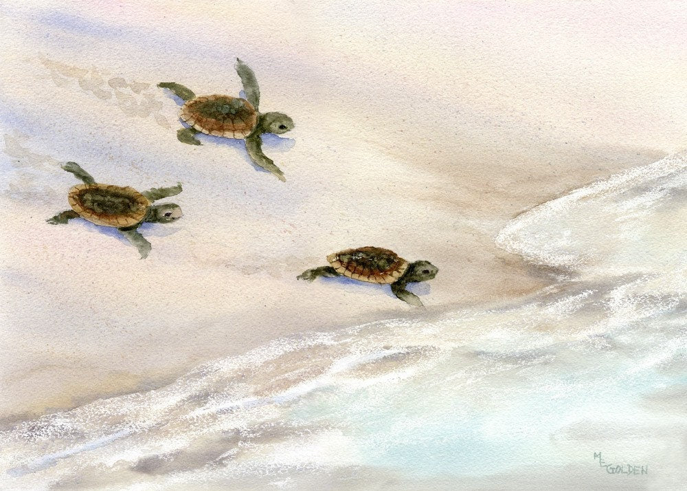 Tracks in the Sand Sea Turtle Giclée Print