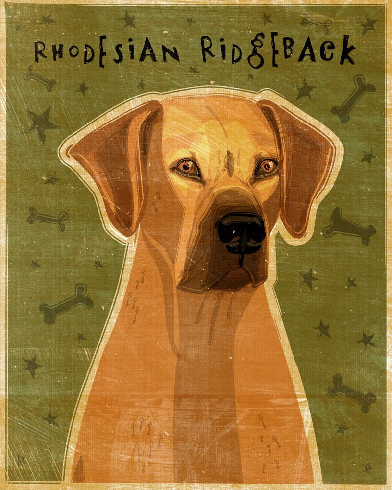 Rhodesian Ridgeback - Print