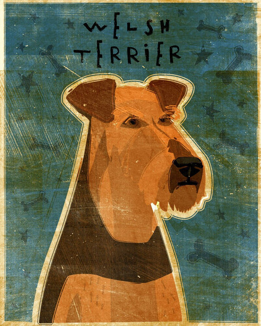 Welsh Terrier - Print