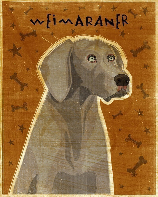 Weimaraner - Print