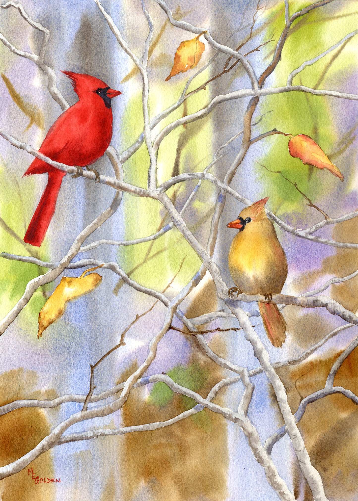 Cardinals Giclée Print