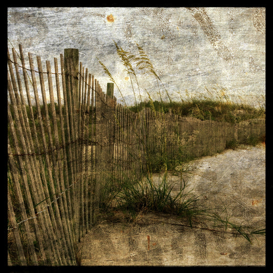 Fence Line No. 1 Photograph