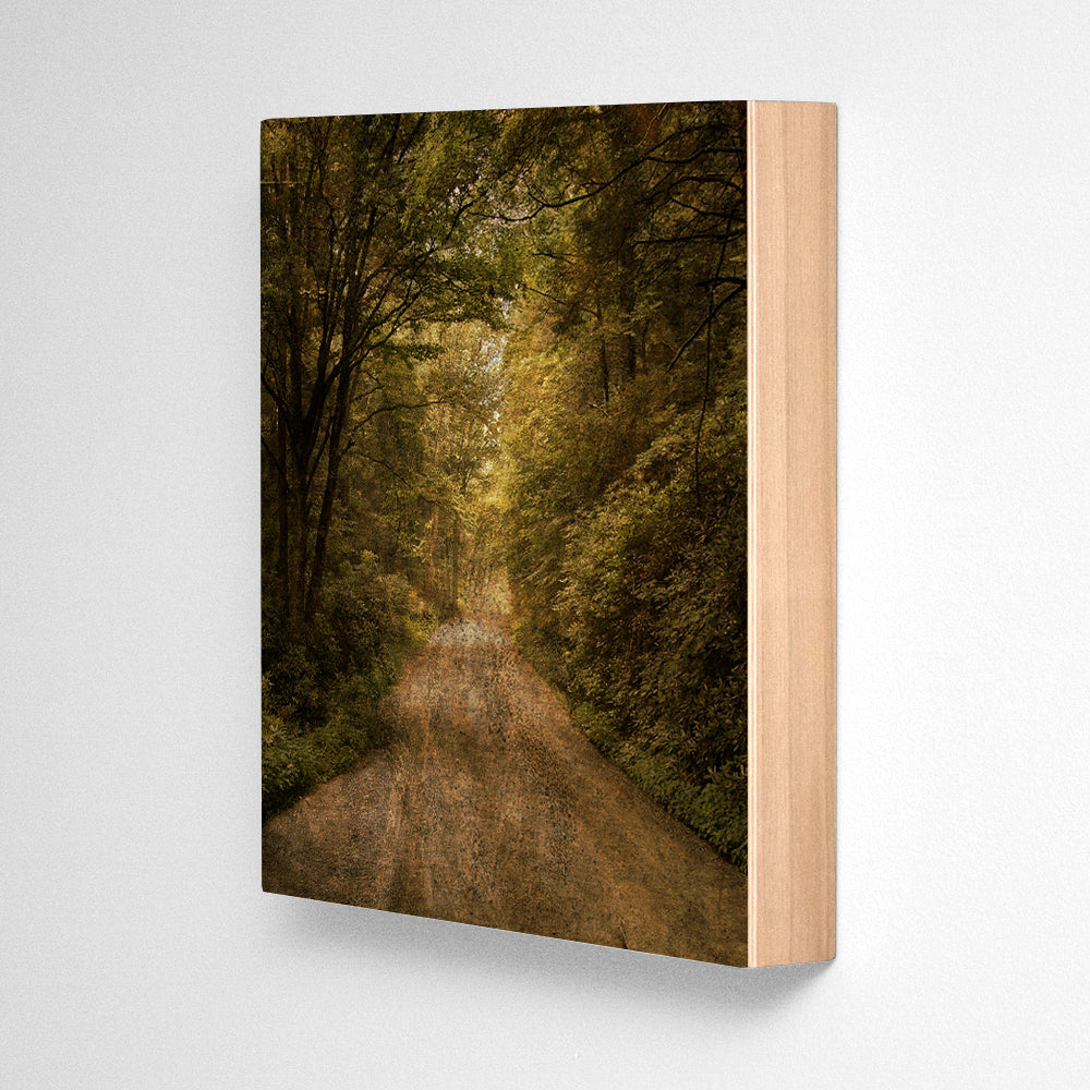 Flannery Fork Road Photograph Art Block or Box
