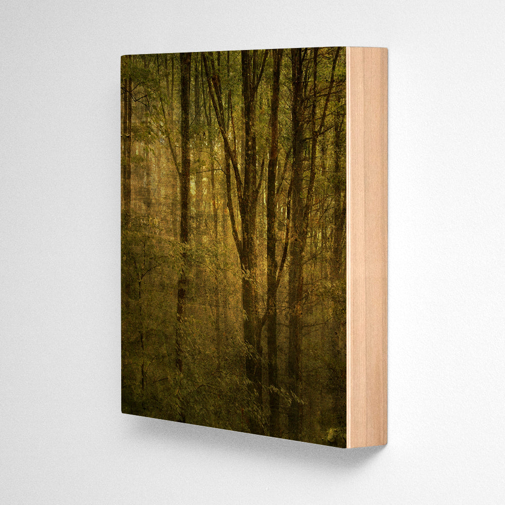 Fog in Mountain Trees No. 1 Photograph Art Block or Box