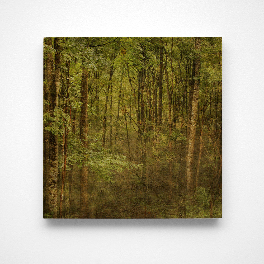 Fog in Mountain Trees No. 2 Photograph Art Block or Box