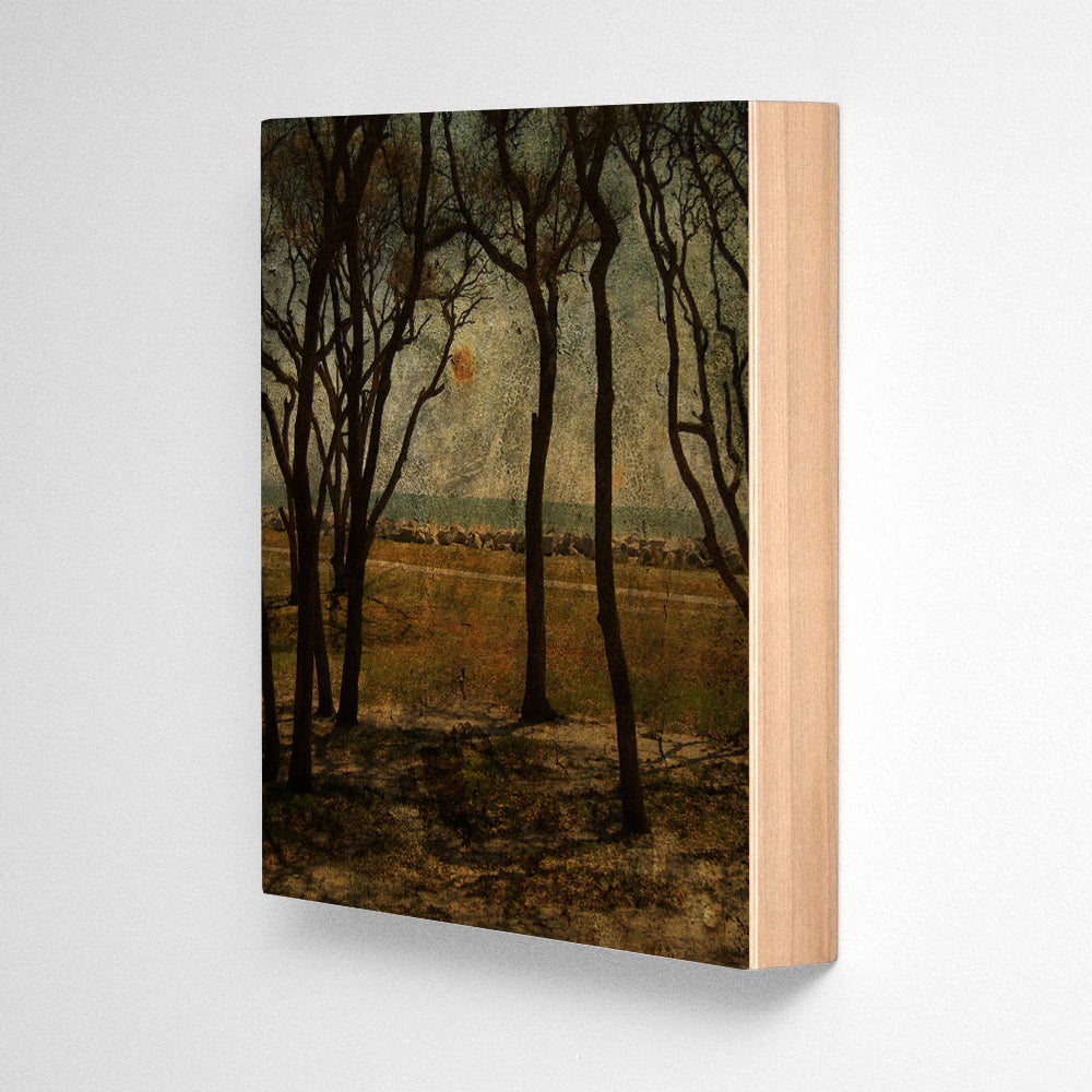 Fort Fisher Trees No. 2 Photograph Art Block or Box