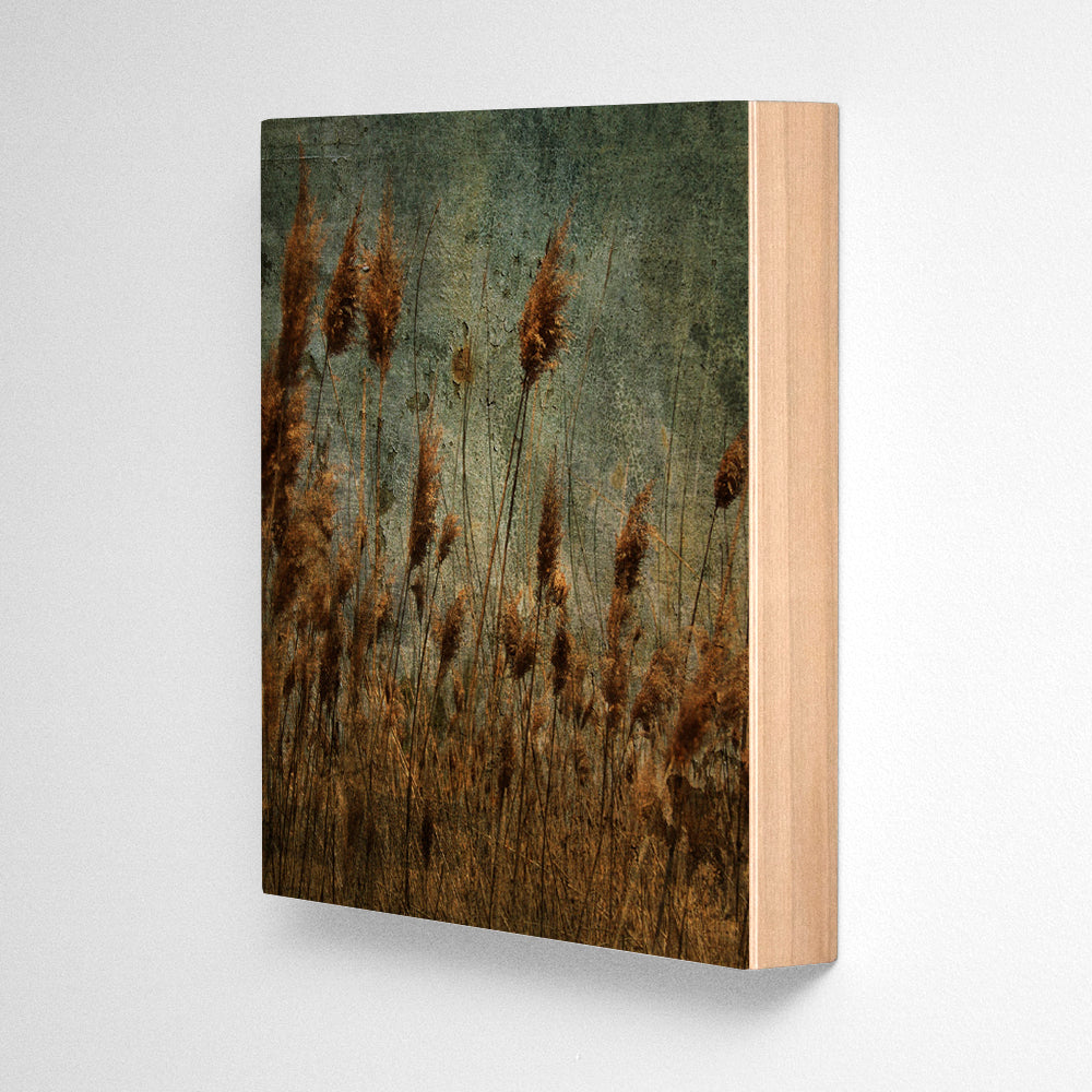 Grass Photograph Art Block or Box