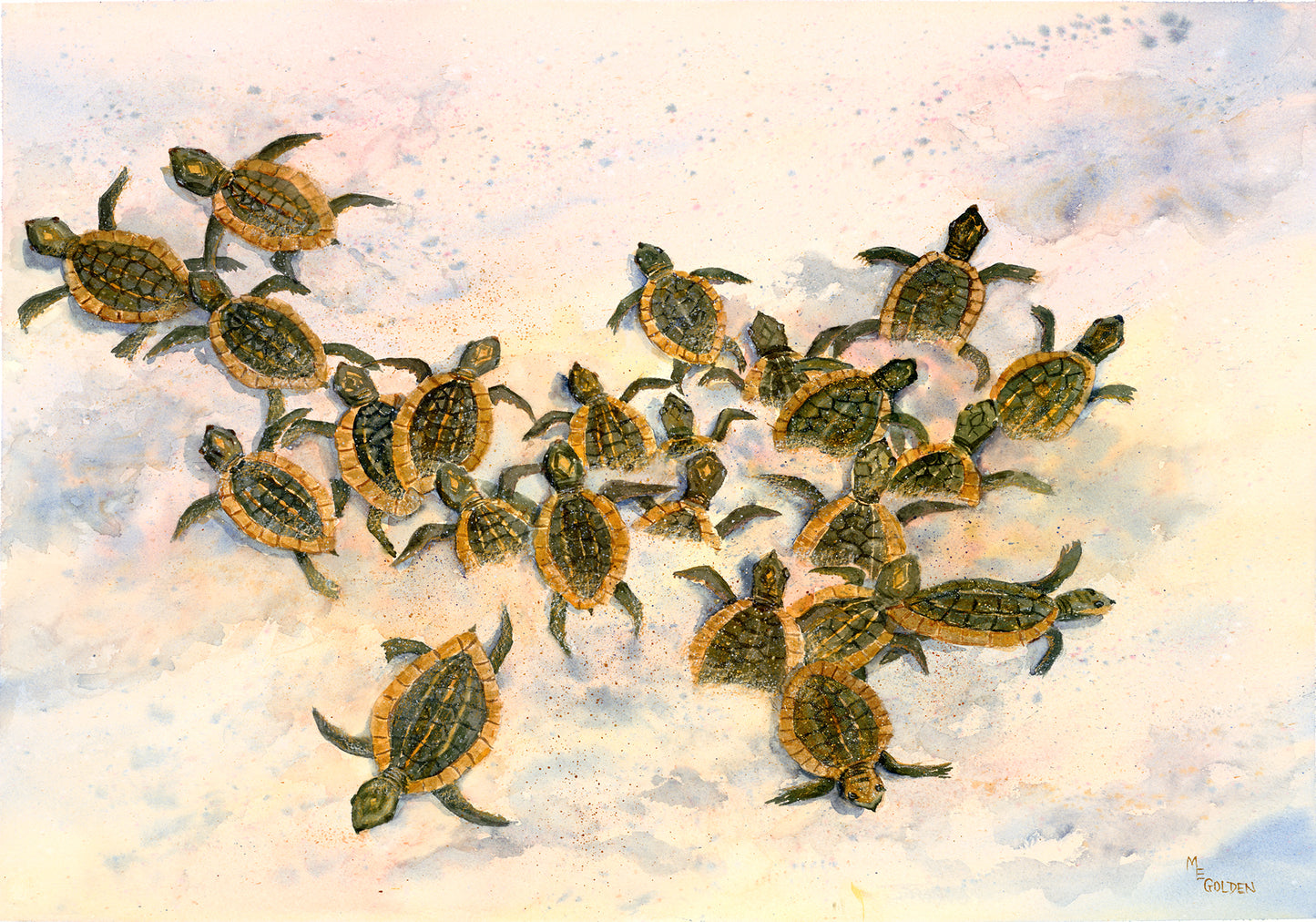 Turtles to the Sea Giclée Print