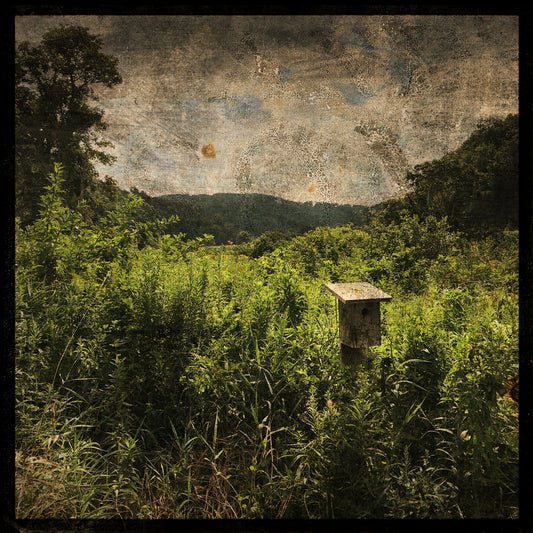 Mountain Bluebird House Photograph