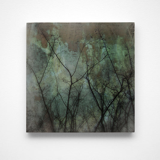 Myrtles on Copper Photograph Art Block or Box