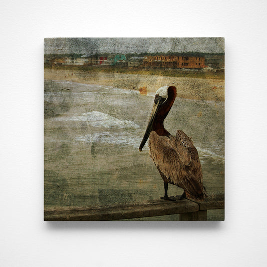 Pelican Photograph Art Block or Box