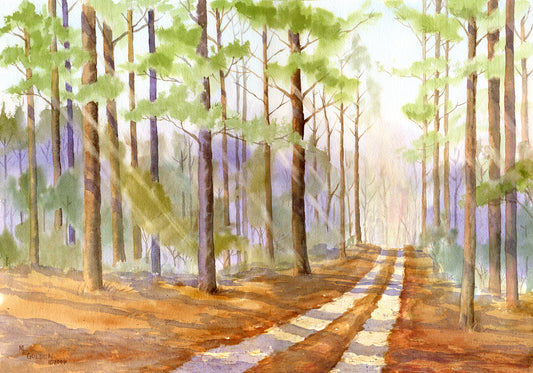 The Road Back Home Through a Pine Forest Giclée Print