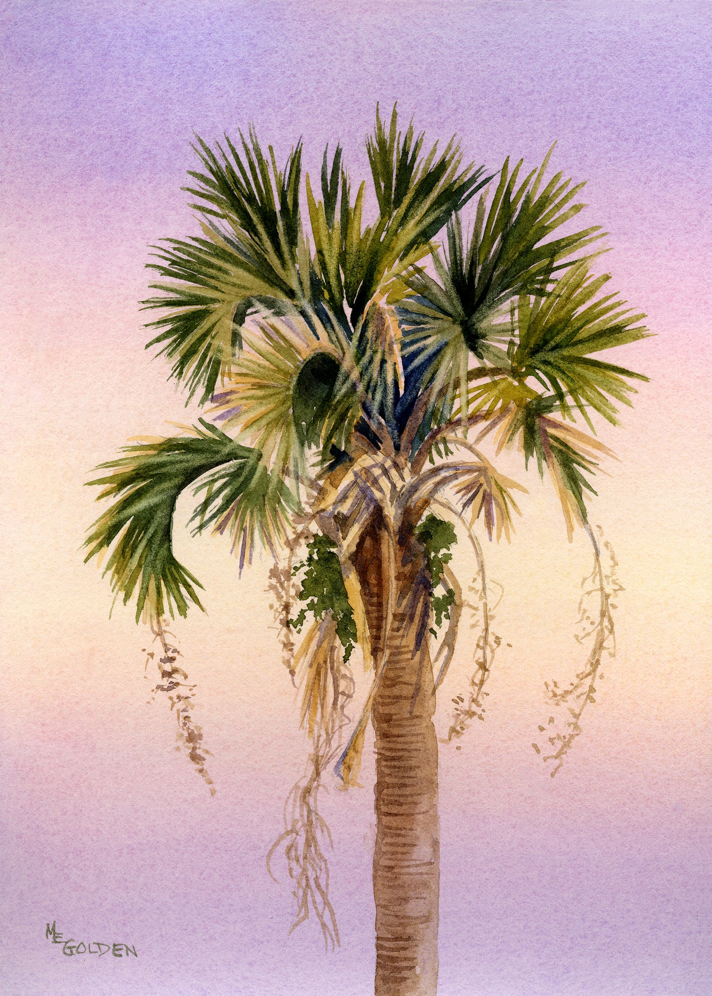 Sunset Palm fronds waving in the evening light Giclée Print