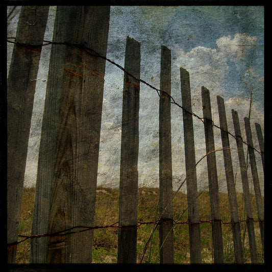 Topsail Sand Fence Photograph