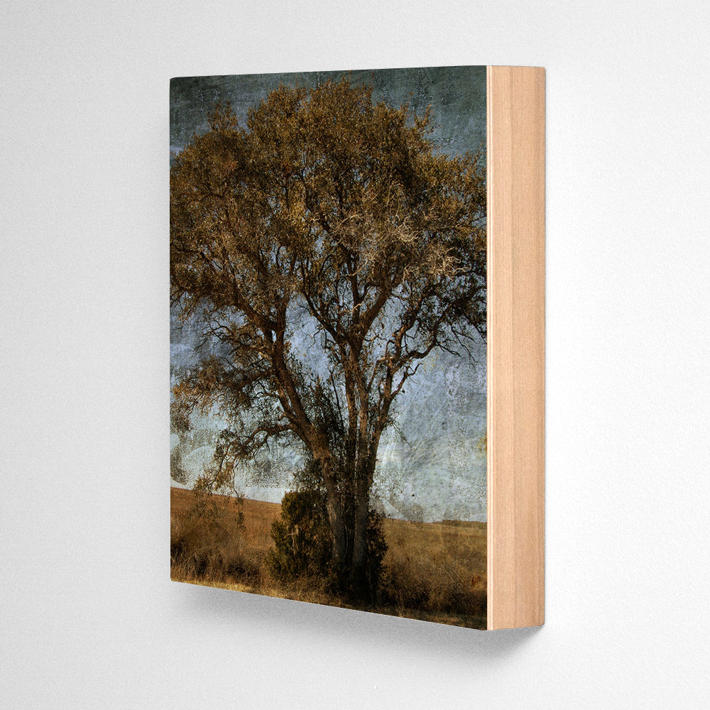 Tree Photograph Art Block or Box