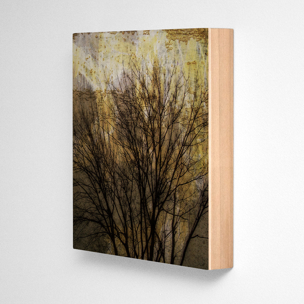 Trees on Peeling Walls Photograph Art Block or Box