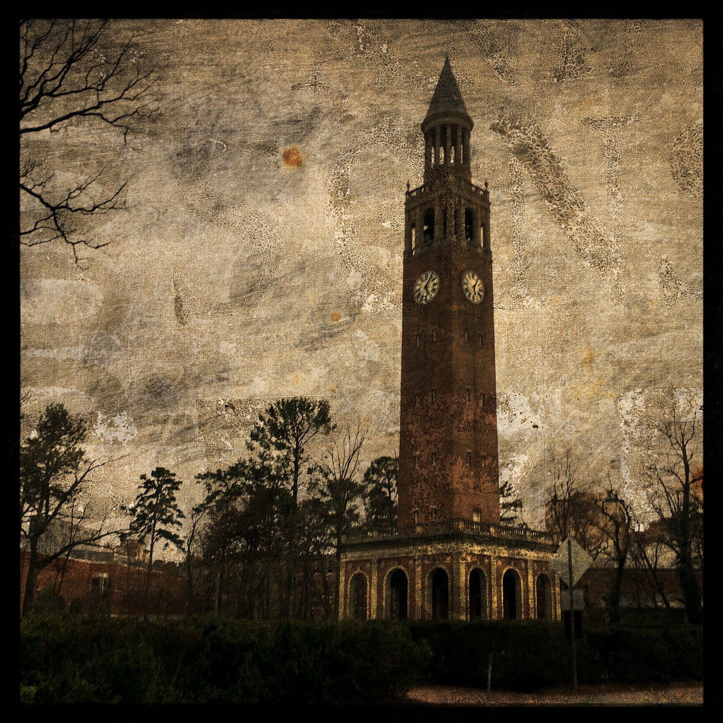 UNC Bell Tower Photograph