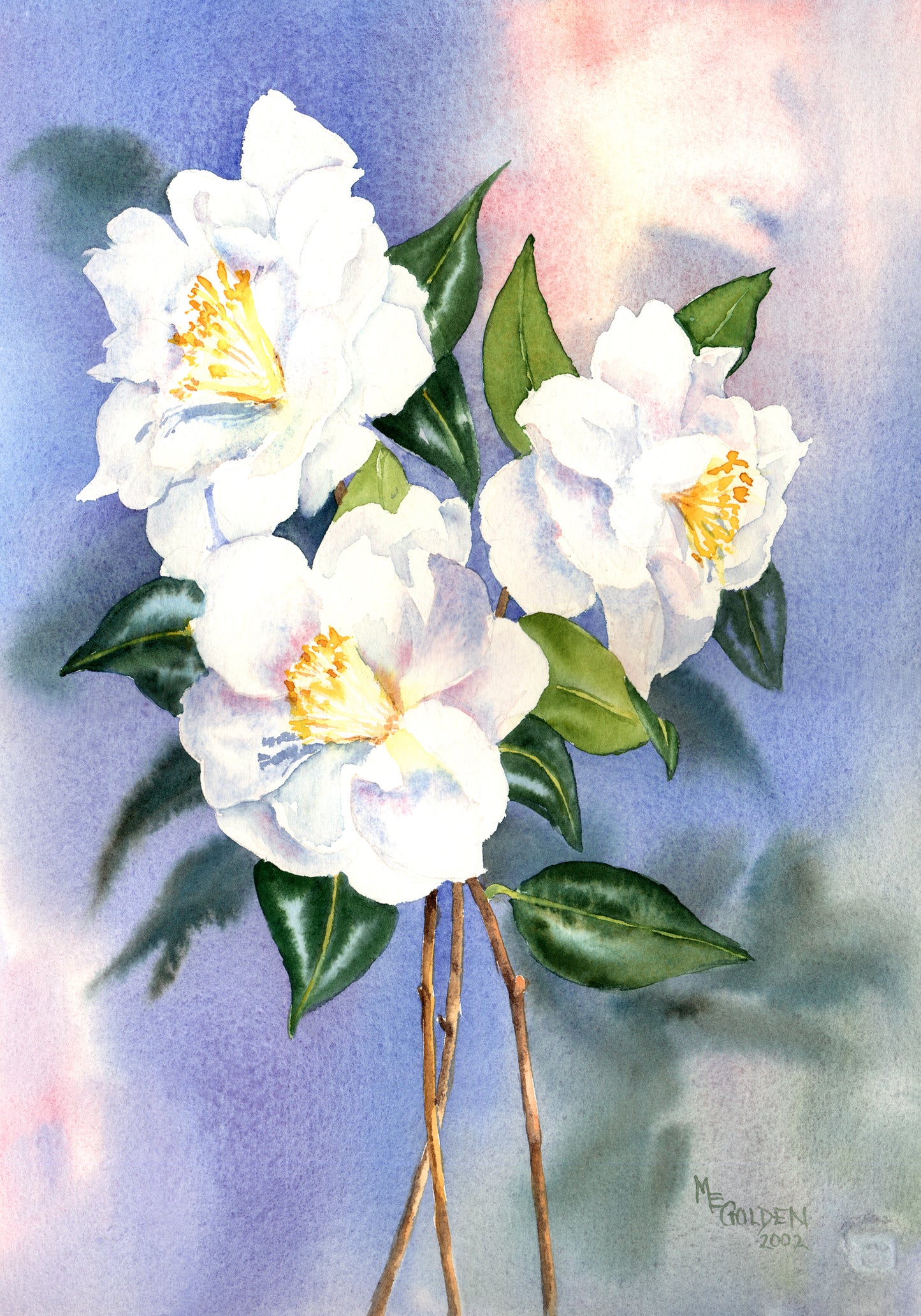 Joanne's Camellias Giclée Print
