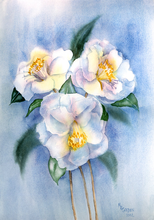 White Camellias Giclée Print