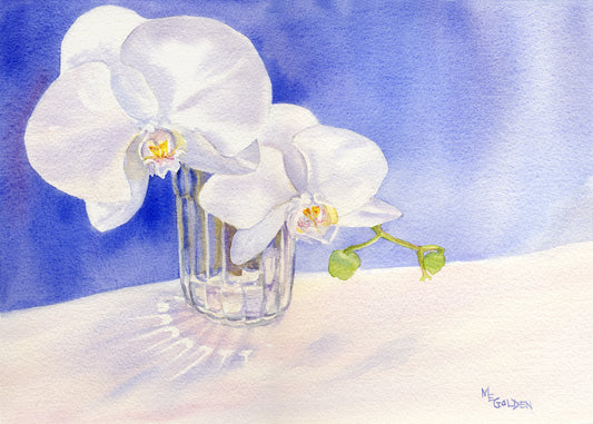 White Orchid Giclée Print