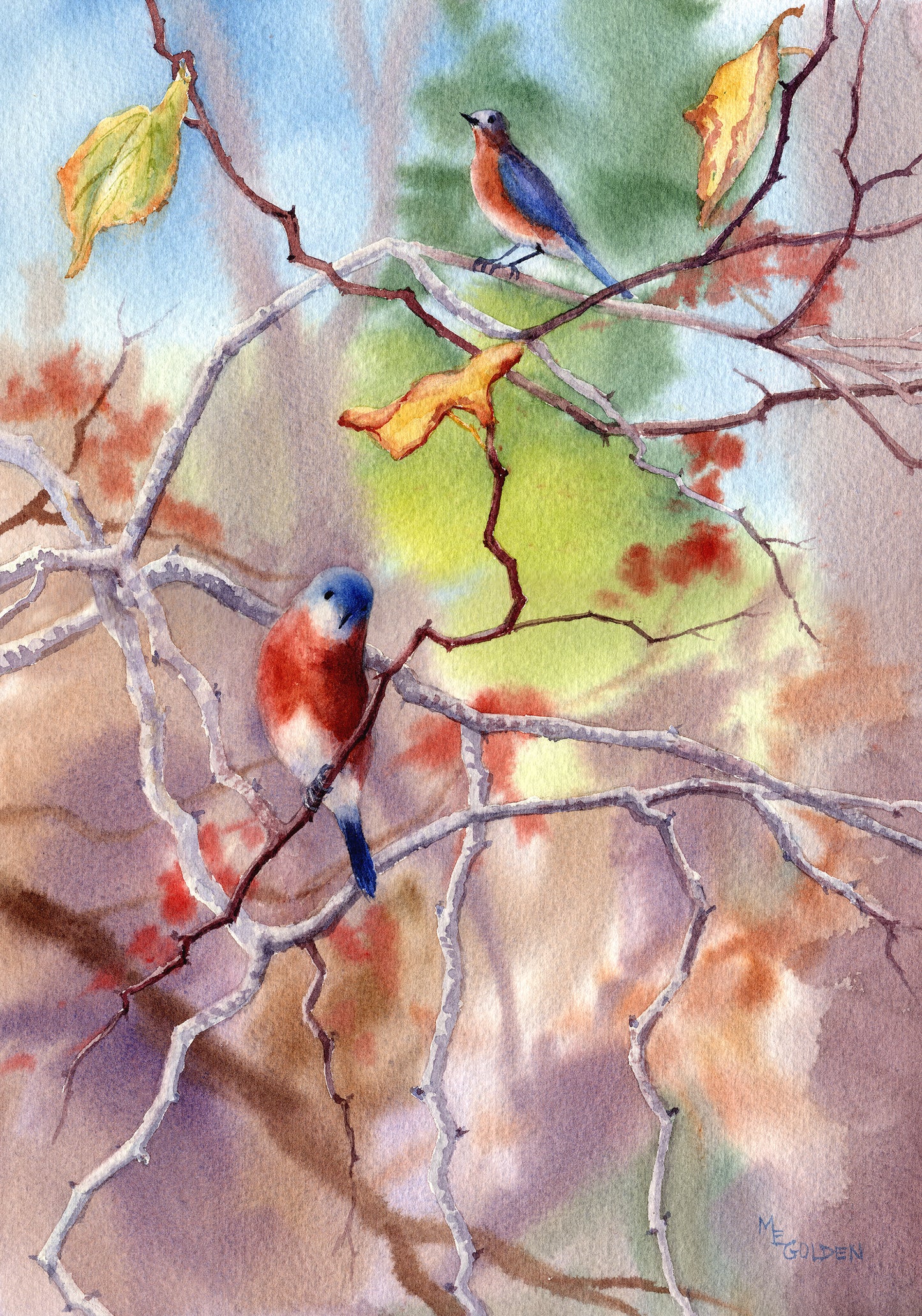 Bluebirds in the Redbud Tree Giclée Print