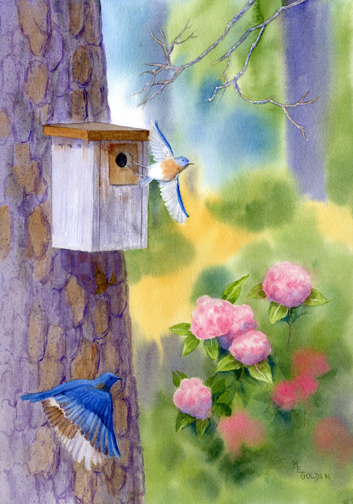 Bluebird's Home Giclée Print