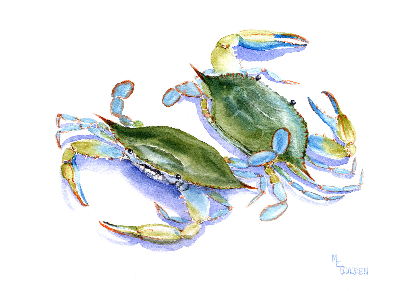 Crabs Back Giclée Print