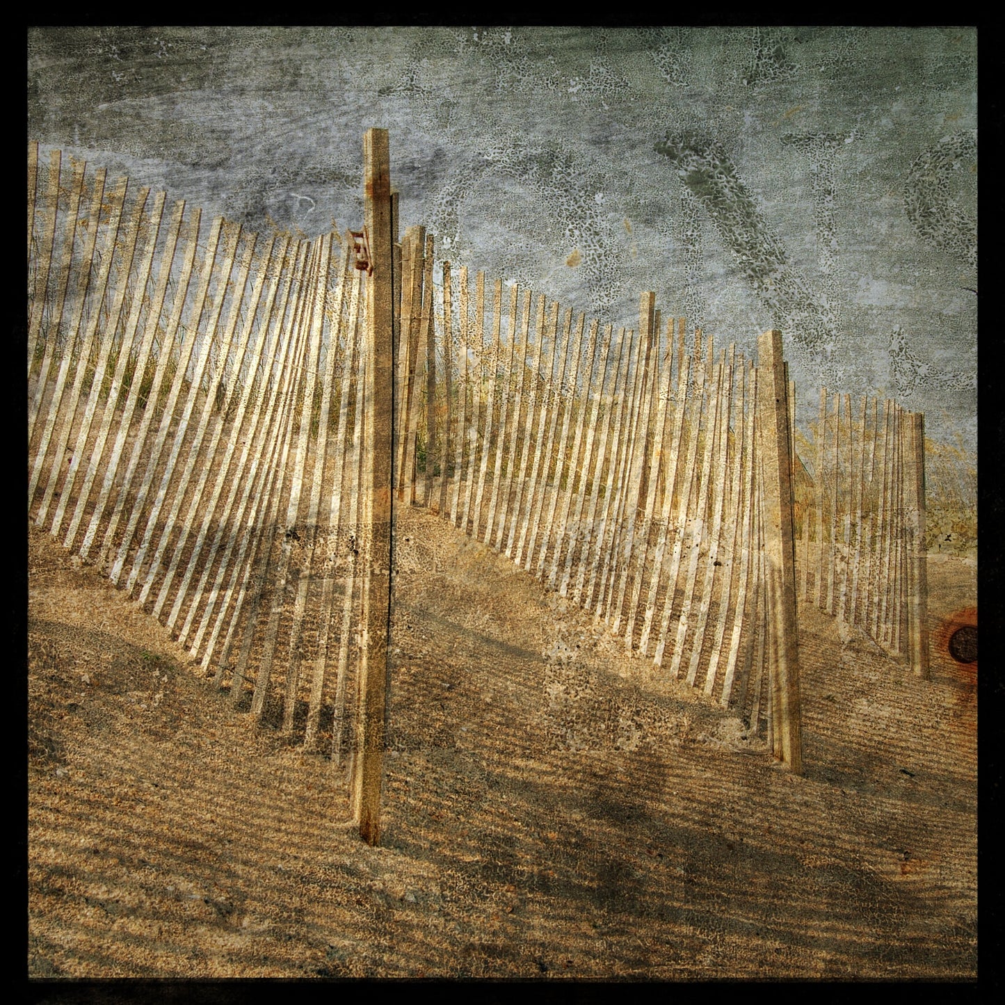 Fences Photograph