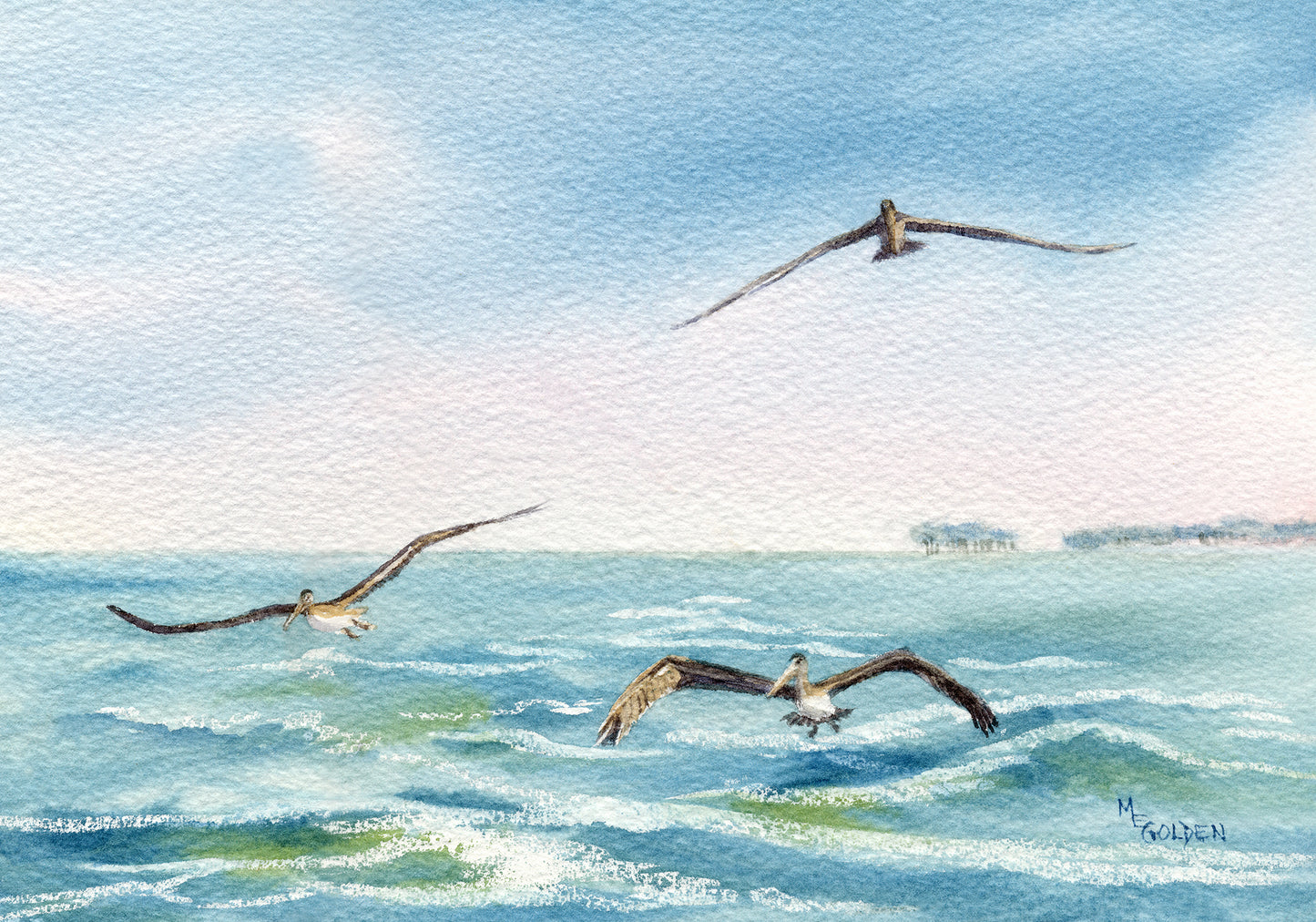 3 Pelicans Following the Ferry Wake Giclée Print