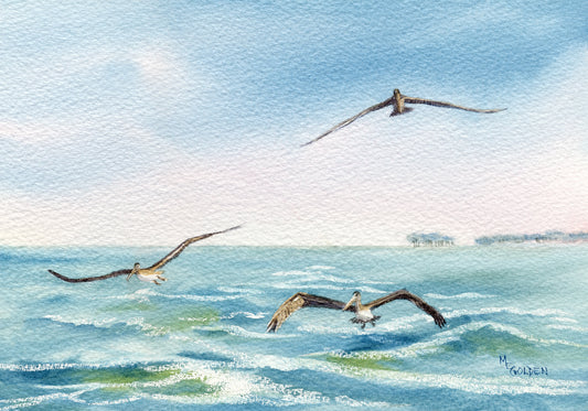 3 Pelicans Following the Ferry Wake Giclée Print