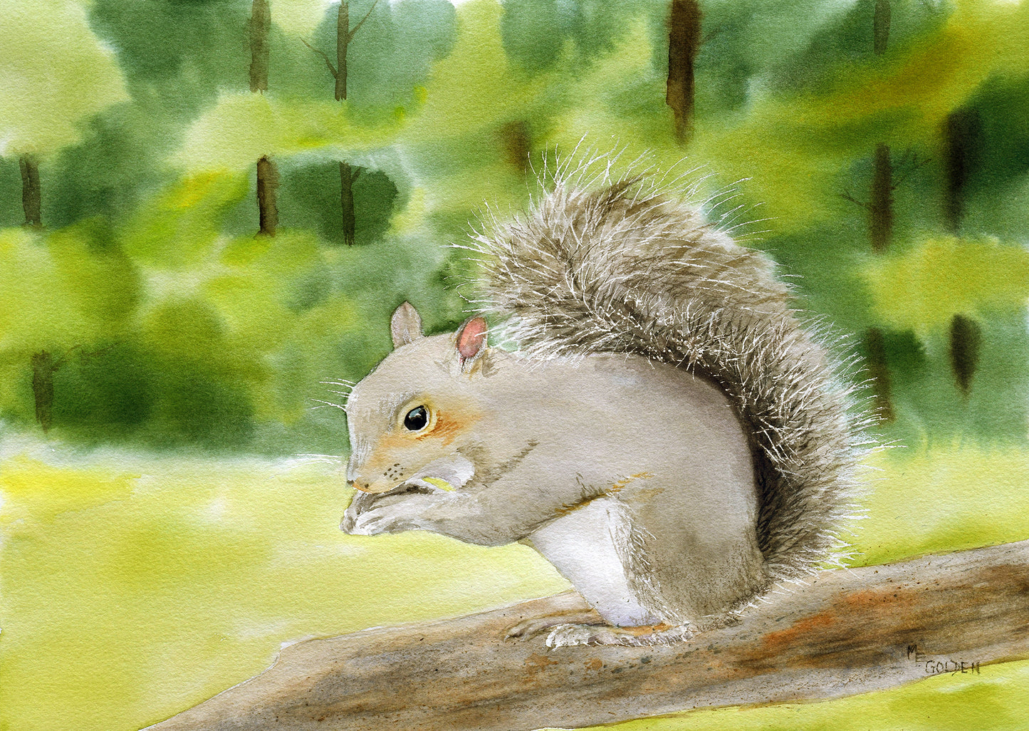 Squirrel Giclée Print