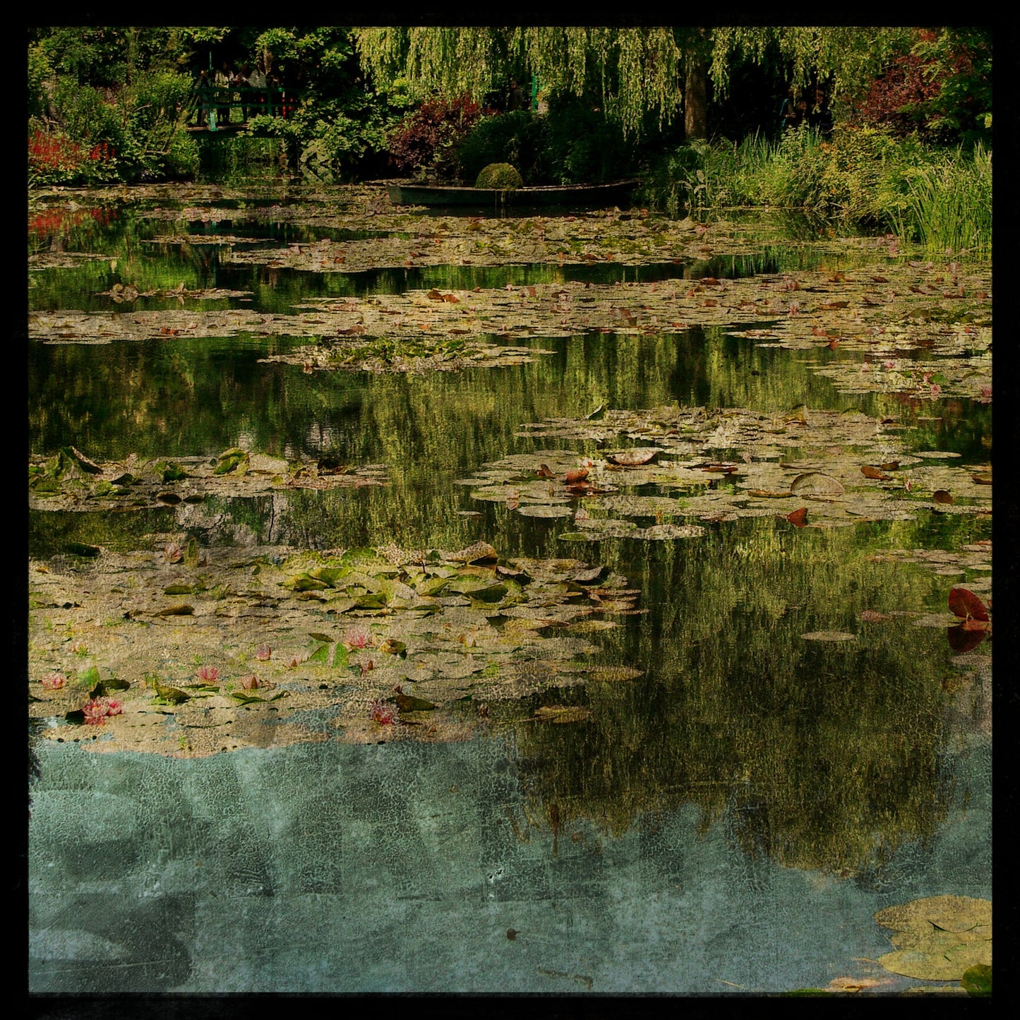 Monet's Pond Photograph