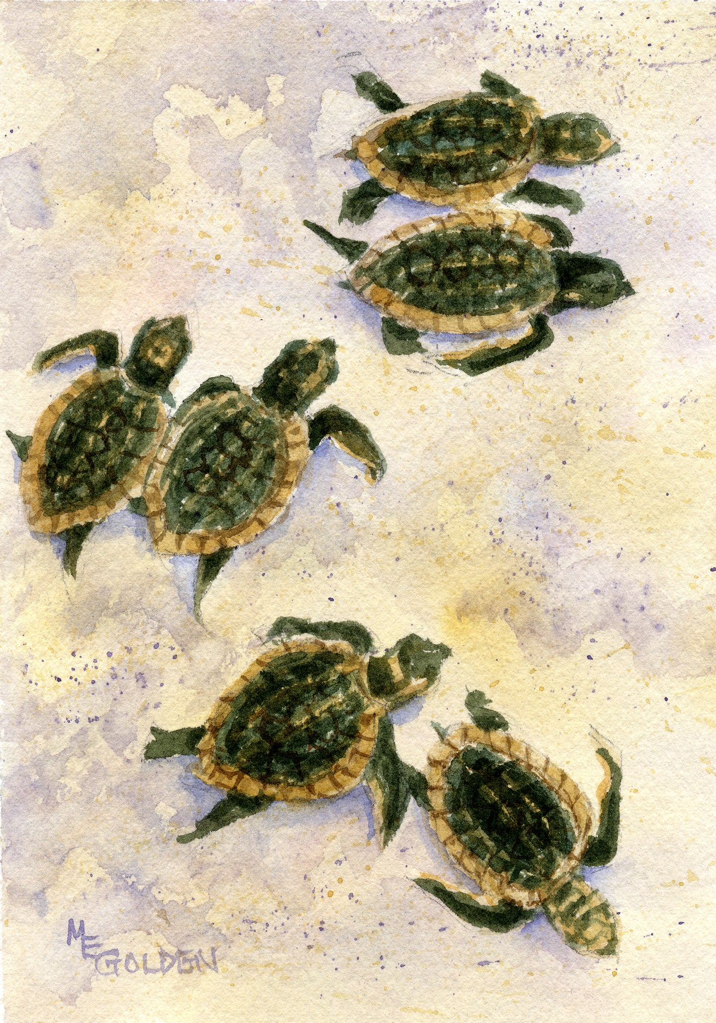 Two by Two Baby Sea Turtles scramble to the ocean Giclée Print
