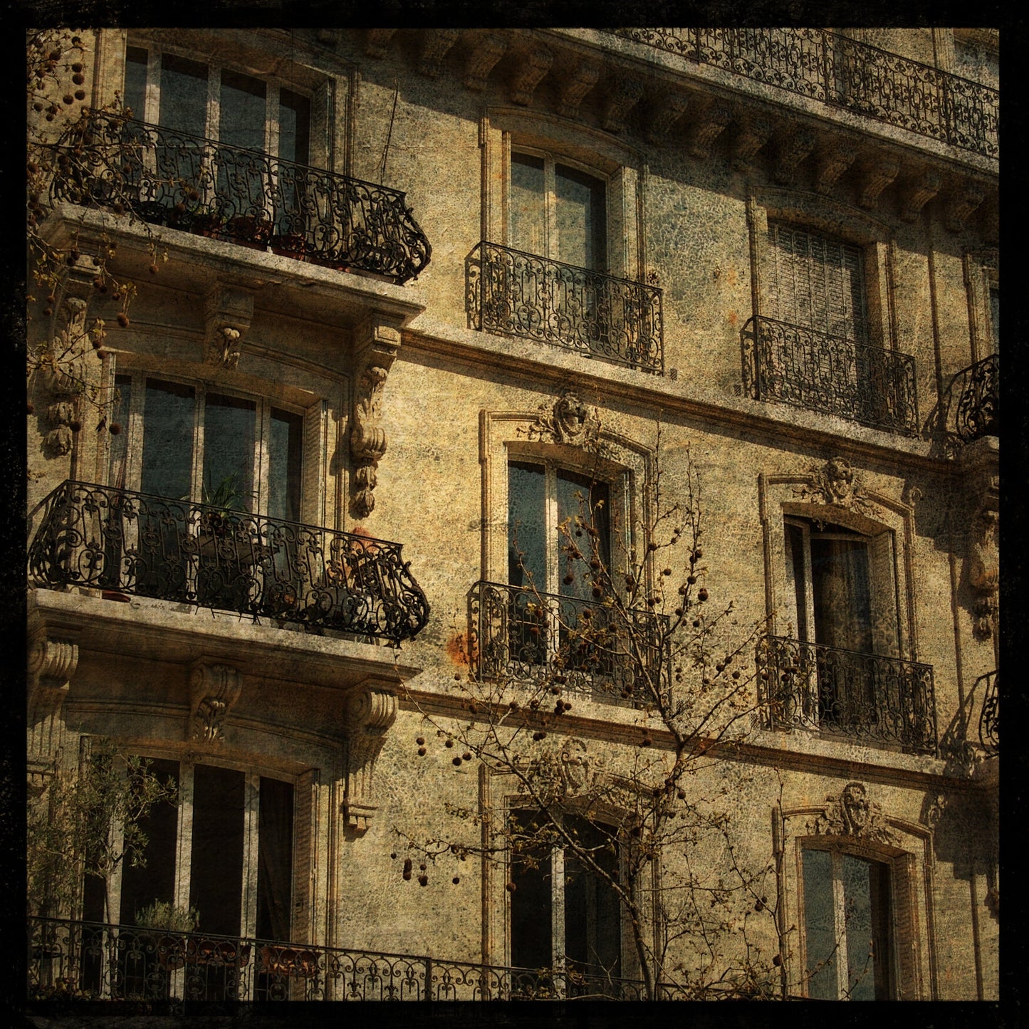 Paris Windows Photograph