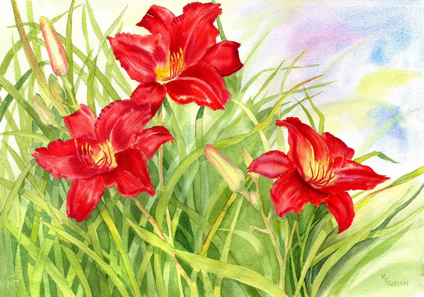 Red Lily Giclée Print