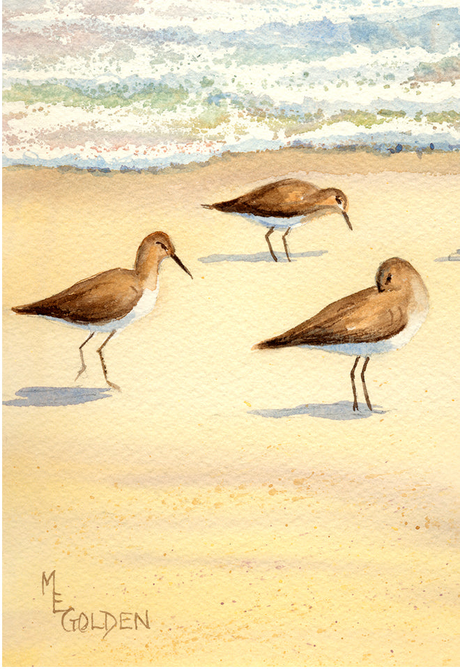Three Sandpipers Giclée Print