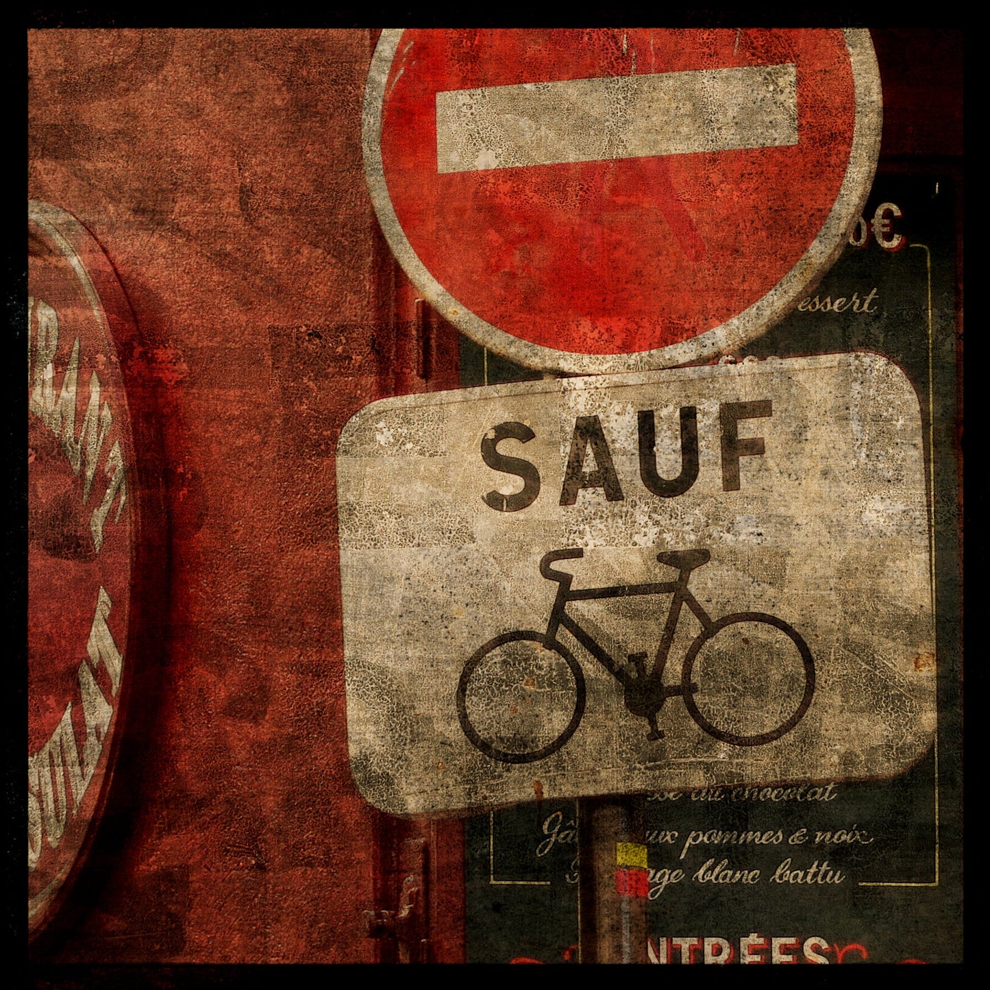 Sauf Bicycles Photograph