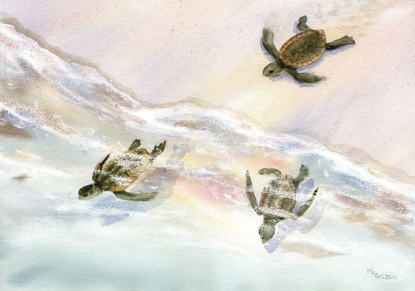 Wait for Me baby sea turtles rush to the ocean Giclée Print