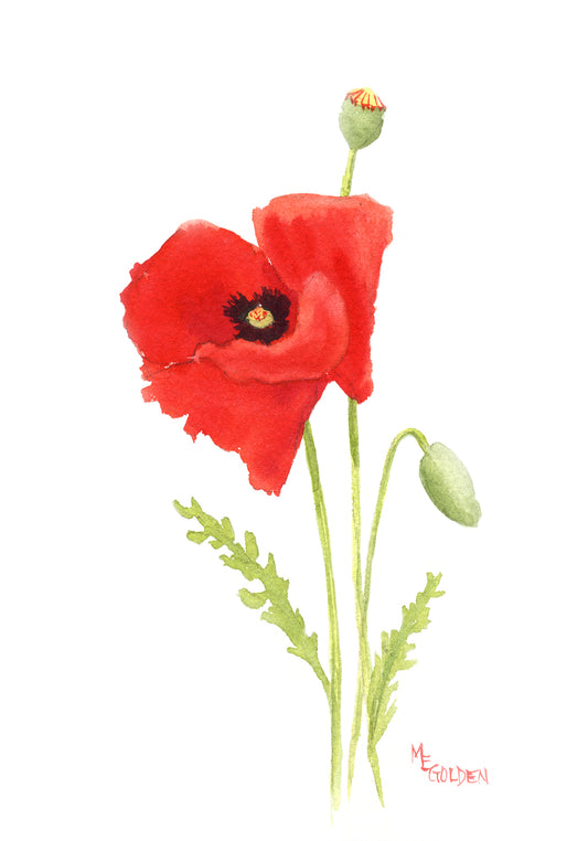 Small Poppies 3 Giclée Print