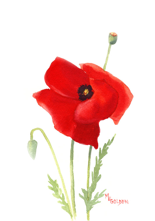 Small Poppies 4 Giclée Print