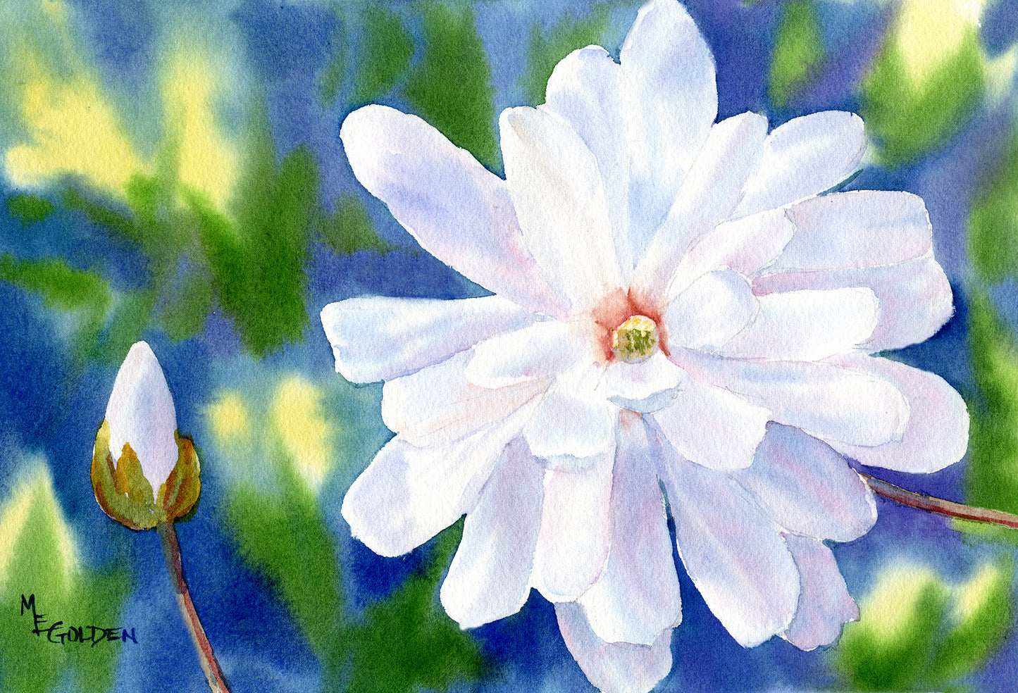 Star Magnolia Giclée Print