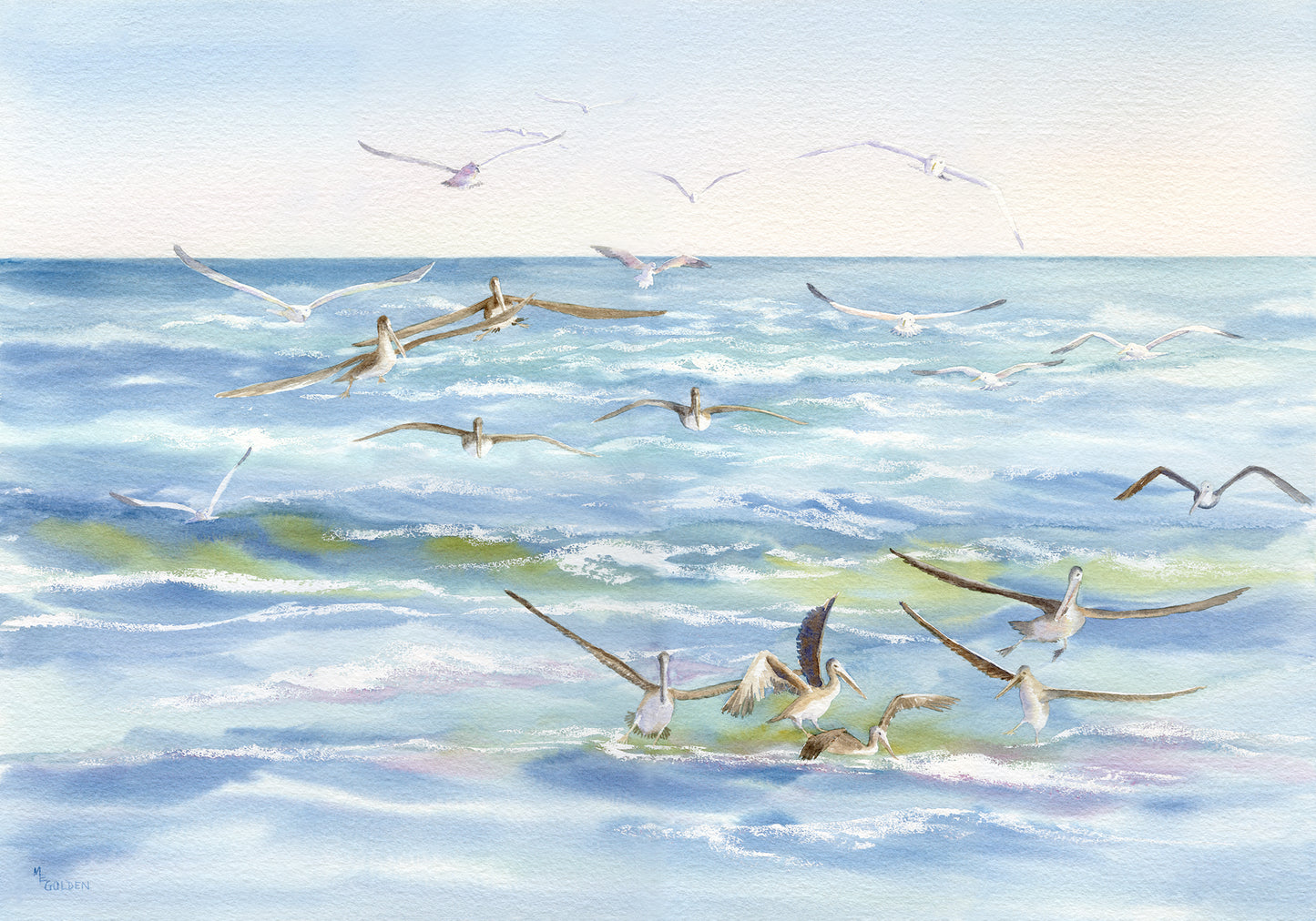 Wake Behind the Ferry with Pelicans and Gulls Fishing Giclée Print