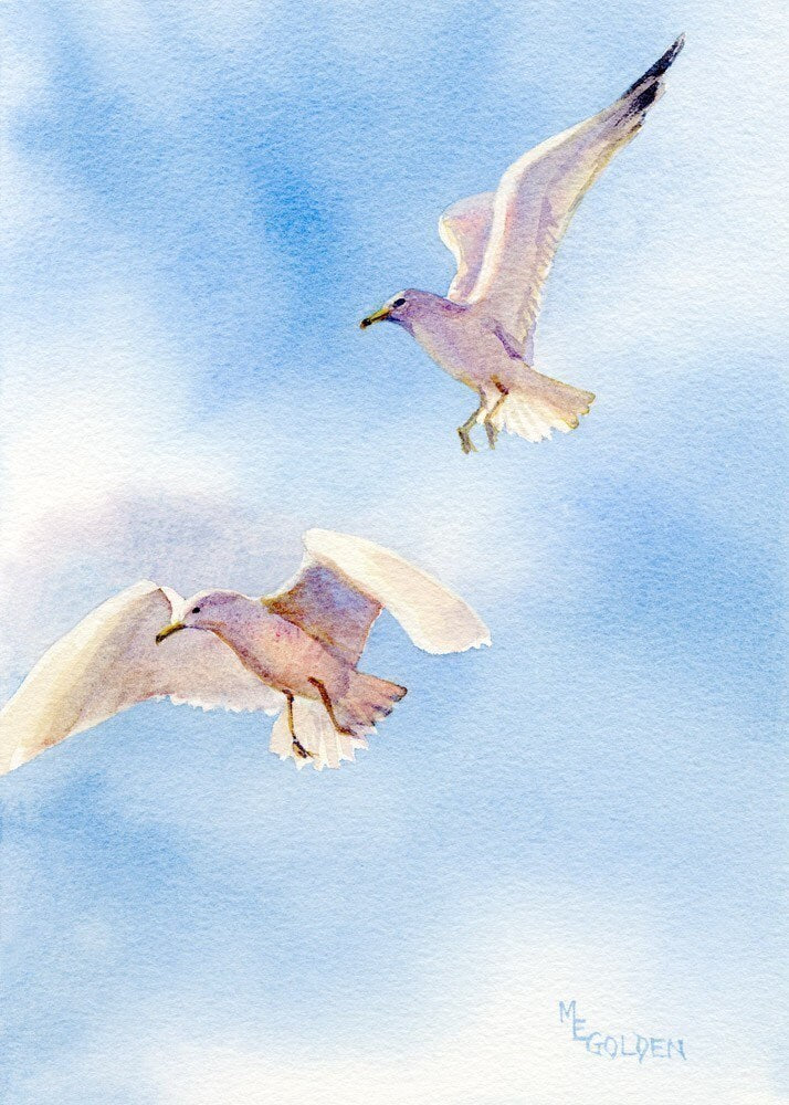 Bird flight of seagulls in midair Giclée Print