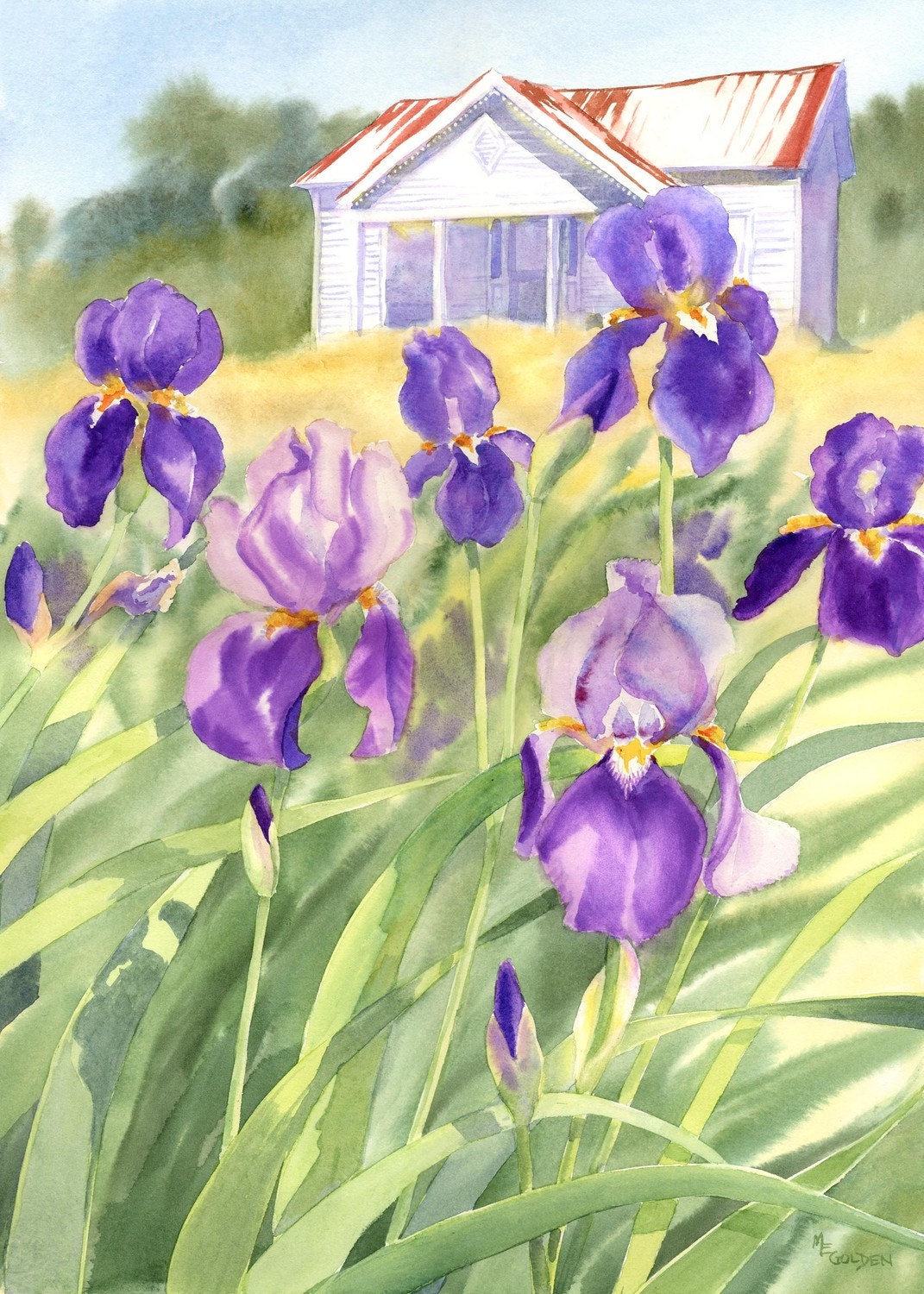 Faded Elegance White Farmhouse with Purple Iris Giclée Print