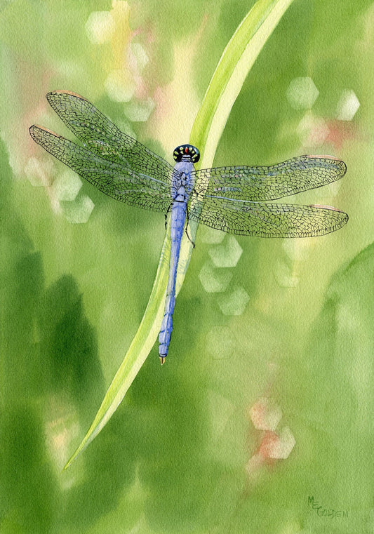 Blue Dragonfly Giclee Print