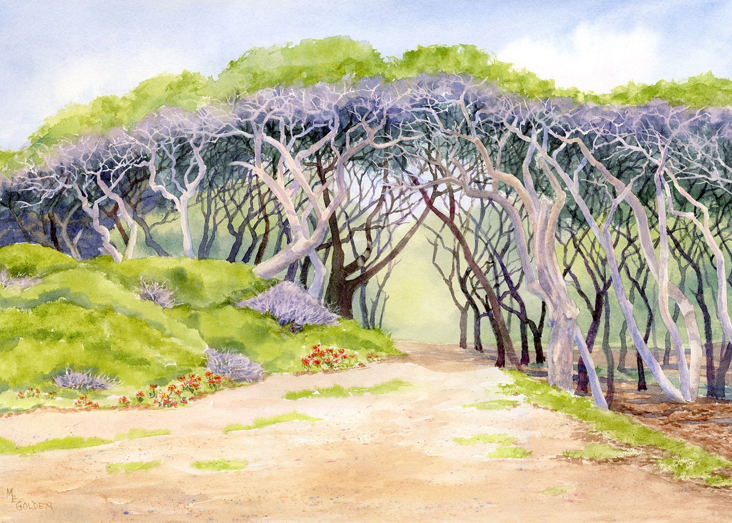 Canopy of Weathered Trees at Fort Fisher Giclée Print