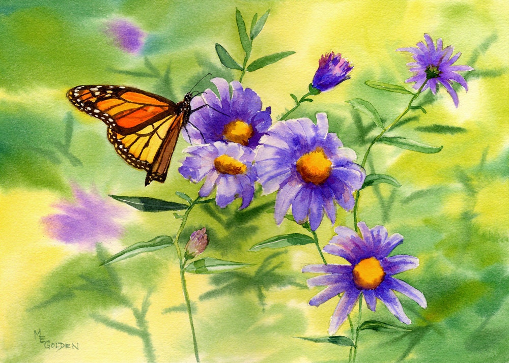 Monarch Butterfly with asters giclee print