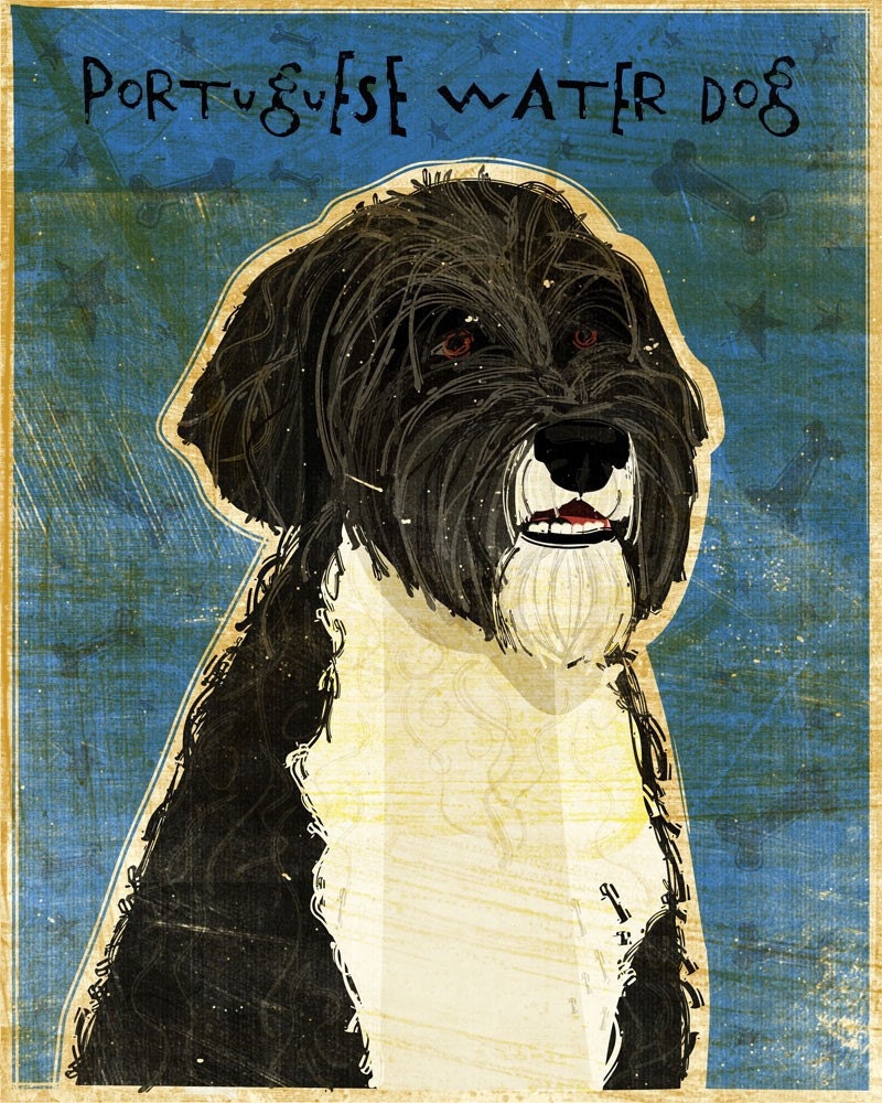 Portuguese Water Dog - Print